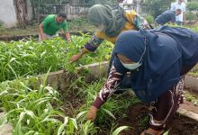 Photo of RPH Kota Kediri Sulap Limbah Jadi Pupuk Organik