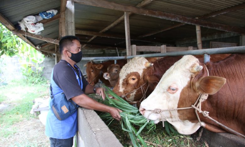 Photo of Cegah Resiko Covid-19, Bupati Kediri Ajak Warga Sembelih Kurban di RPH
