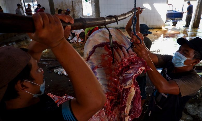 Photo of Pemkot Gratiskan Biaya Retribusi Pemotongan Hewan Kurban