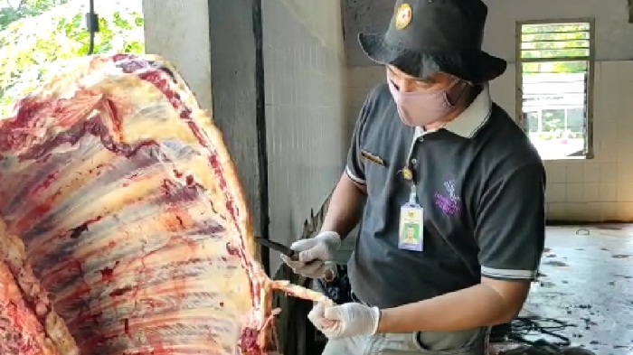 Photo of RPH Mulai Kedatangan Hewan Kurban, Pemeriksaan Kesehatan Ditingkatkan