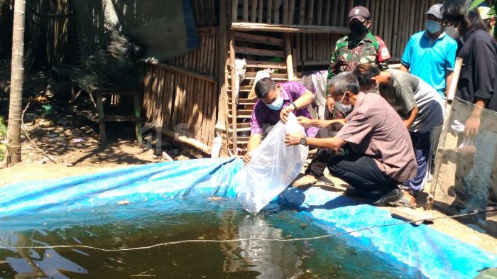 Photo of Support Budidaya Ikan Hias Gayam, Wali Kota Kediri Bagikan 10 Ribu Benih Ikan Koi