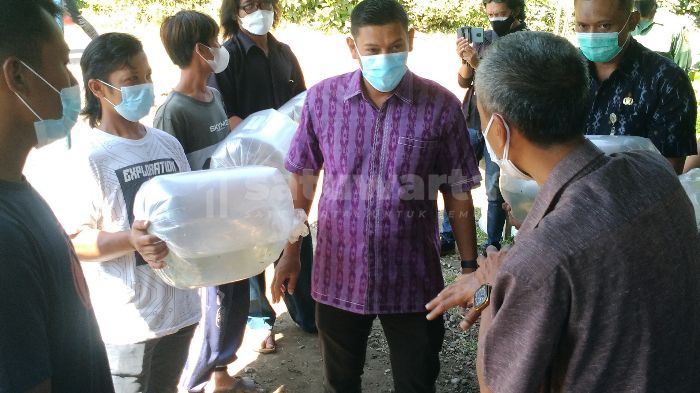 Photo of Potensi Besar, Peluang Ikan Hias Kota Kediri Masih Terbuka Lebar