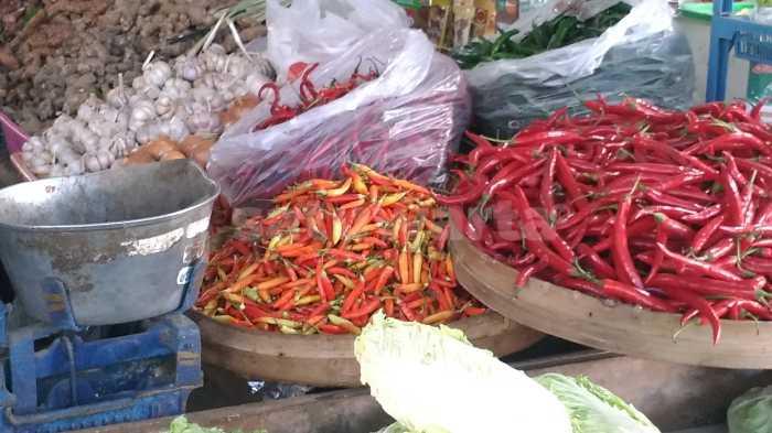 Photo of Meski Tak Signifikan, Harga Cabai di Kota Kediri Ikut Turun