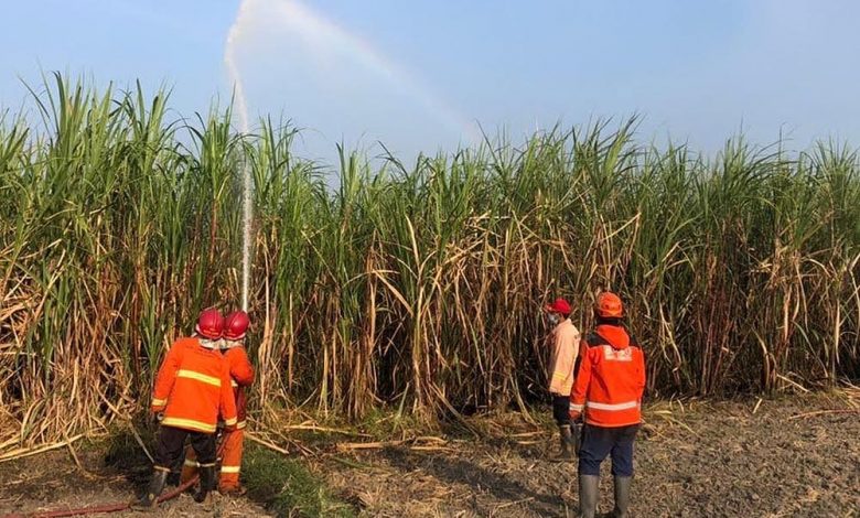 Photo of Galakkan Patroli di Lahan Tebu Rawan Terbakar