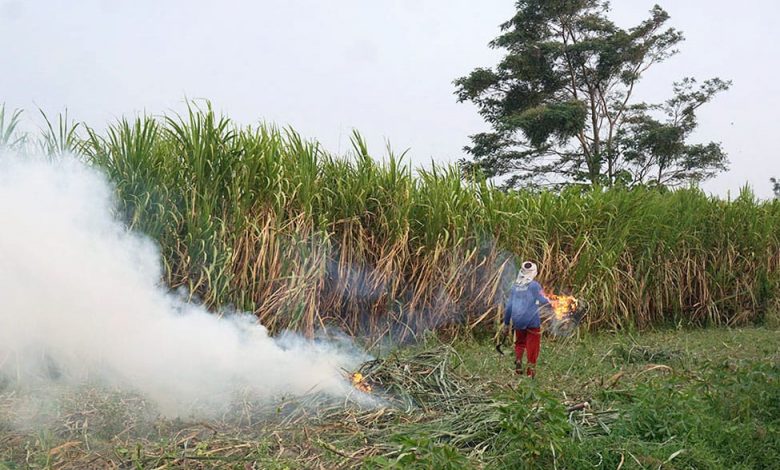 Photo of Puncak Kemarau, Warga Dihimbau Waspada Kebakaran Lahan