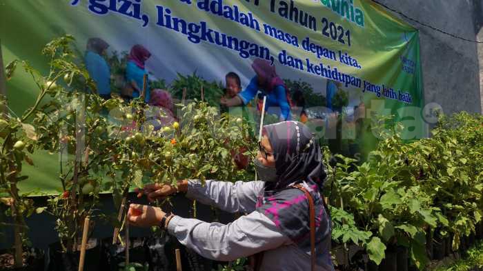 Photo of Jaga Sumber Pangan Keluarga Tetap Sehat Tanpa Sentuhan Bahan Kimia