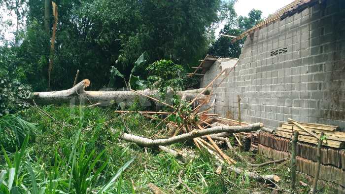 Photo of Kerugian Bencana Angin Kencang Masih Terus Didata