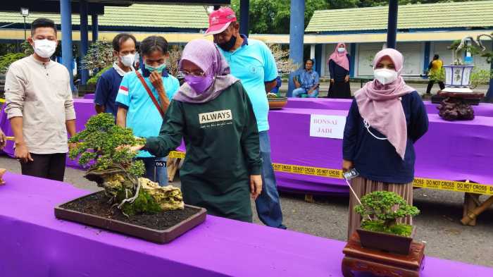 Photo of Potensi Besar, Pemkab Kediri Support Petani Bonsai Perluas Pasar Ekspor