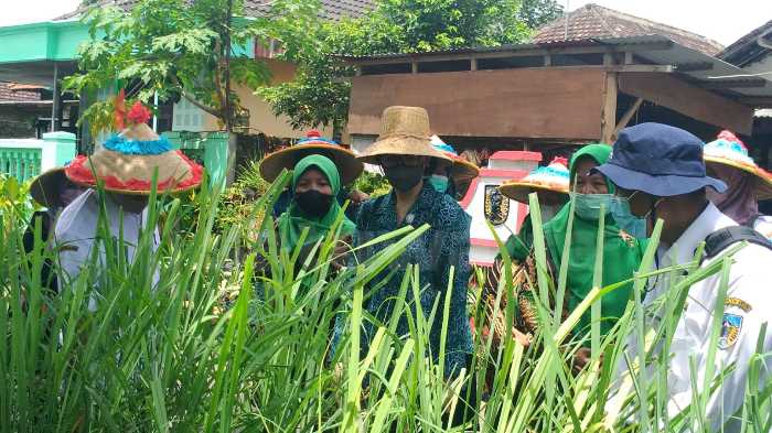 Photo of Sukses Desa Tertek Kembangkan P2L Diharap Menular ke Desa Lain
