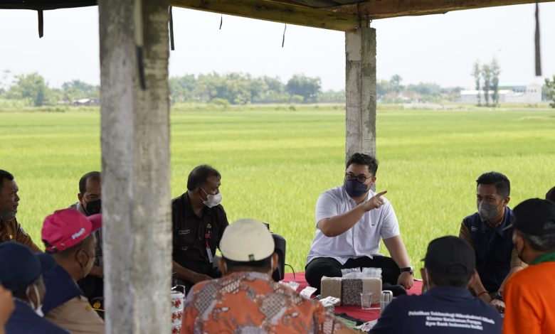 Photo of Makan Siang Bersama di Sawah, Mas Dhito dan Petani Obrolkan Hal Ini