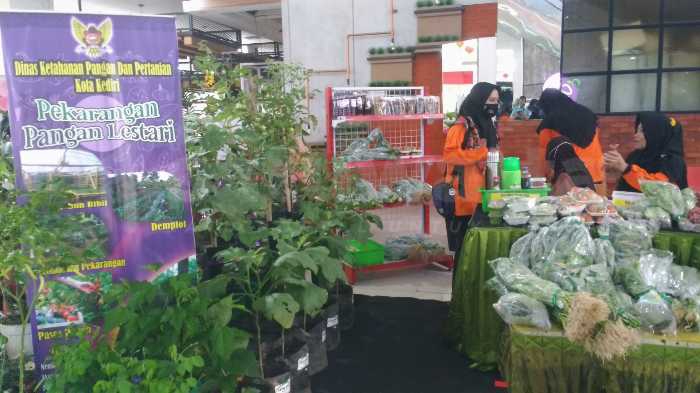 Photo of Sayuran Sehat Makin Dicari, Kelompok P2L Didorong Makin Mandiri