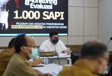 Photo of Sukseskan Desa Korporasi Sapi, Lintas Sektor Diminta Tingkatkan Sinergi