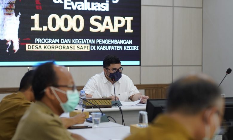 Photo of Sukseskan Desa Korporasi Sapi, Lintas Sektor Diminta Tingkatkan Sinergi