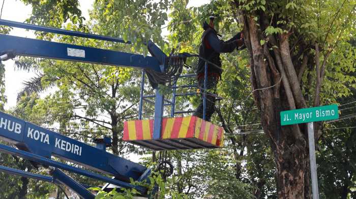Photo of Ganggu Traffic Light, Pohon Lebat di 4 Titik Dipangkas