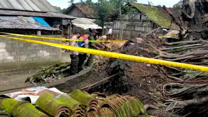 Photo of Pohon Ratusan Tahun Tumbang Timpa 3 Rumah, Tewaskan 1 Orang