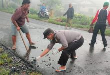 Photo of Adu Banteng Akibat Terlalu ke Kanan, Penjual Bibit Lele Tewas di Tempat