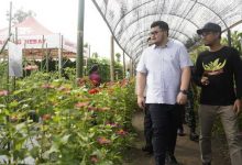 Photo of Bupati Kediri Siapkan BUMD Untuk Serap Komoditas Petani Saat Harga Anjlok
