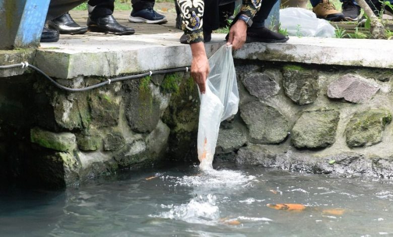 Photo of Tebar 25.000 Benih Ikan di Sumber Jiput