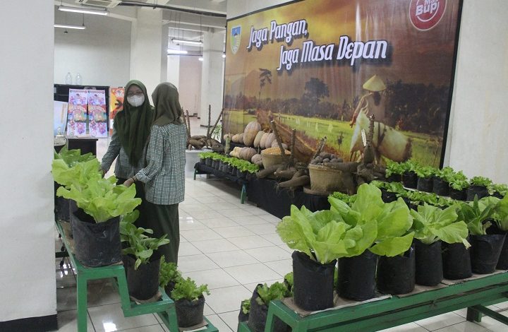 Photo of Jaga Pangan Jaga Masa Depan, DKPP Ajak Masyarakat Kenali Pangan Alternatif