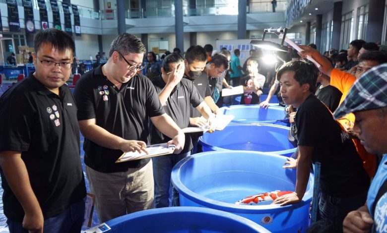 Photo of All Indonesia Koi Show ke-19 Berdampak Banyak Untuk Wisata