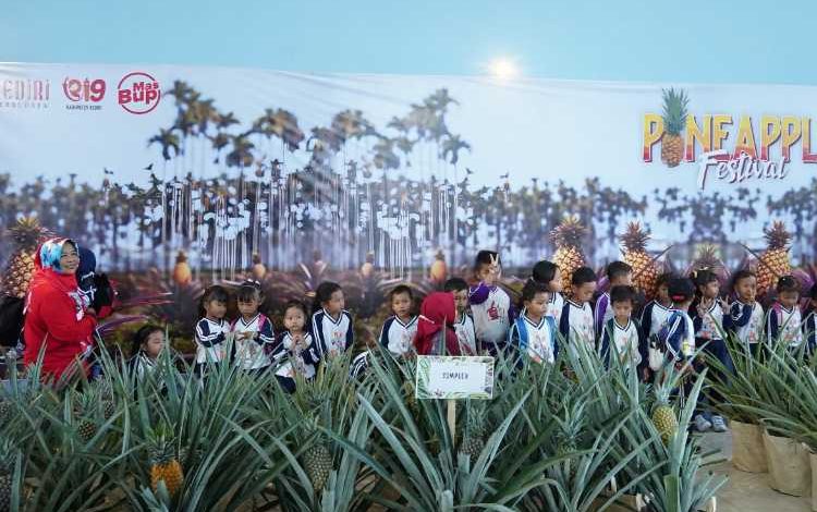 Photo of Hilirisasi dan Industrialisasi Nanas Jadi Fokus Kabupaten Kediri