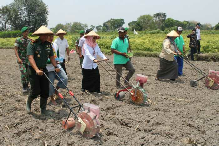 Photo of TNI-Pemkab Kediri Bersinergi Wujudkan Ketahanan Pangan Nasional