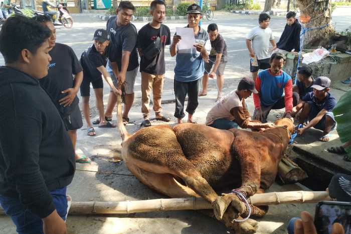 Photo of Semangat Berbagi di Momen Idul Adha, PT LISA Salurkan Daging Kurban ke Masyarakat