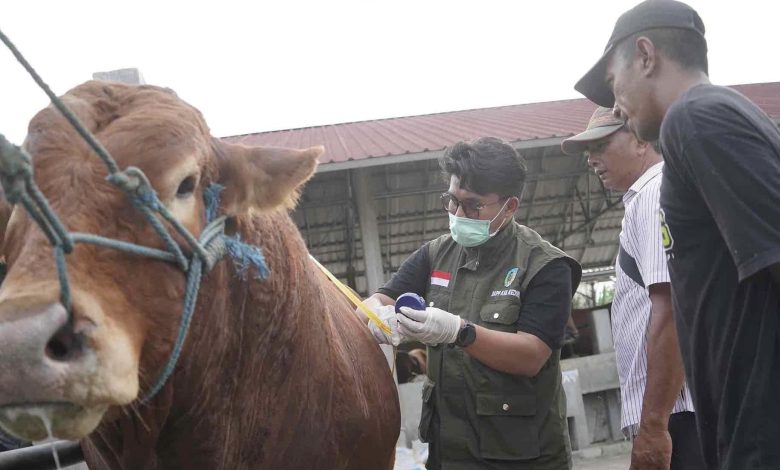 Photo of Waspadai LSD, DKPP Kabupaten Kediri Himbau Peternak Lakukan Hal Berikut