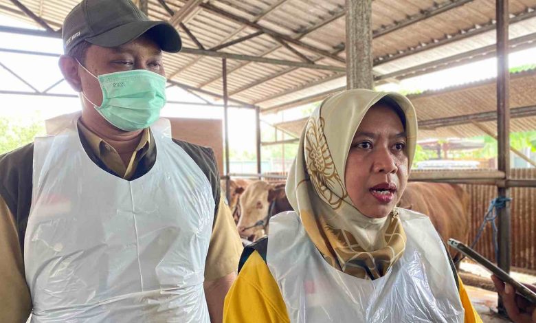 Photo of Kasus PMK di Kediri Meningkat, Pemkab Kediri Sampaikan Penyebab Berikut