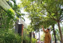 Photo of Kabel Semrawut Rusak Estetika, PUPR Kota Kediri Gencarkan Pembinaan Kepada Vendor Komunikasi