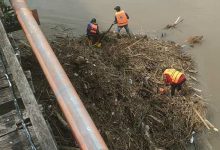 Photo of Sampah Menumpuk di Kaki Jembatan Lama Kediri, Tim Gabungan Turun Tangan