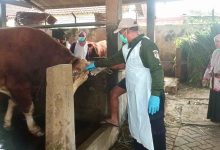 Photo of Jelang Idul Adha, Pemkab Kediri Pantau Kelayakan Hewan Kurban