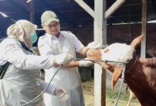 Photo of DKPP Kabupaten Kediri Telah Monitoring 50 Titik untuk Cek Kesehatan Hewan Kurban