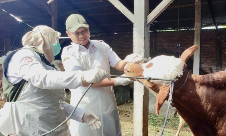 Photo of DKPP Kabupaten Kediri Telah Monitoring 50 Titik untuk Cek Kesehatan Hewan Kurban