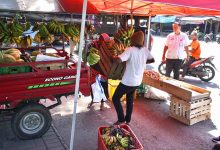 Photo of Langgar Aturan Berjualan, Belasan Pedagang di Kawasan SLG Ditertibkan Petugas