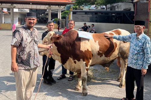 Photo of Ponpes Wali Barokah Salurkan Daging Sapi Kurban Wapres ke Santri dan Warga Sekitar