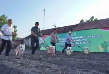 Photo of Dukung Swasembada Pangan, Pemkab Kediri Jamin Ketersediaan Sarana Produksi Pertanian