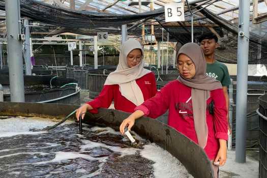Photo of Tingkatkan Budidaya Ikan Nila, Tim MMD-DM UB 2025 Dampingi Ori Fish Bangsri Kabupaten Blitar