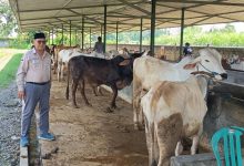 Photo of Saspri Nasional Komitmen Tegakkan Keadilan Bagi Ketua Poktan Ternak Ngudi Rejeki Ngadiluwih
