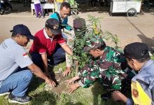Photo of Hari Juang TNI AD 2025, Koramil 02/Pesantren Bersama DKD Tanam Ribuan Pohon di Wilayah Pesantren