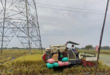 Photo of Pengadaan Beras BULOG Melampaui Target Pemerintah 4 Juta Ton