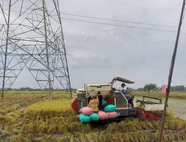 Photo of Pengadaan Beras BULOG Melampaui Target Pemerintah 4 Juta Ton