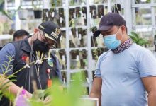 Photo of Serap Keluhan Petani Tanaman Hias Banjaranyar, Mas Bup Siapkan Bantuan Bibit