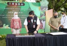 Photo of Kediri Ditetapkan Pusat Ficus Nasional, Wilayah Barat Sungai Akan Lebih Dihijaukan