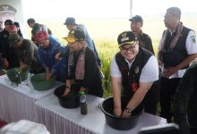 Photo of Seharian, Mas Dhito Bersama Mentan Urus Pertanian Kabupaten Kediri