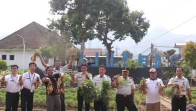 Photo of Keberhasilan Lapas Kelas II A Kediri Dalam Pembinaan Warga Binaan Atas Panen Ratusan Kilogram Ubi Cilembu